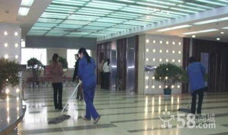 綿陽(yáng)專業(yè)外墻清洗與家居裝飾服務(wù) 打造潔凈與溫馨的居住與商業(yè)環(huán)境